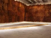 MAXXI Giuseppe Penone Sculture di linfa 2007